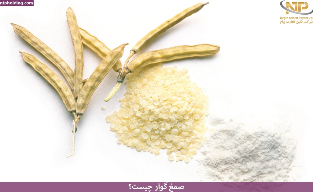 صمغ گوار چیست؟
