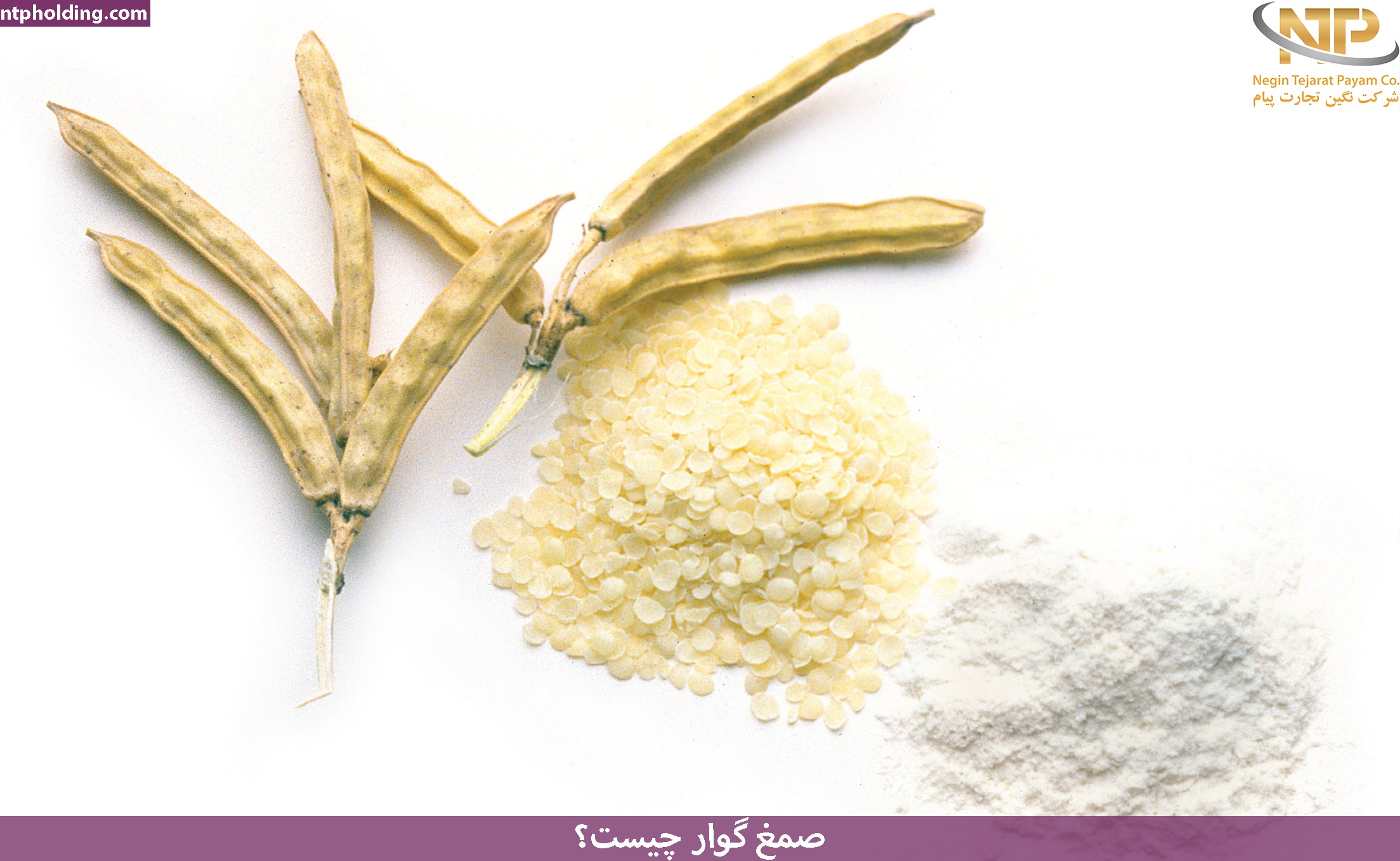 صمغ گوار چیست؟