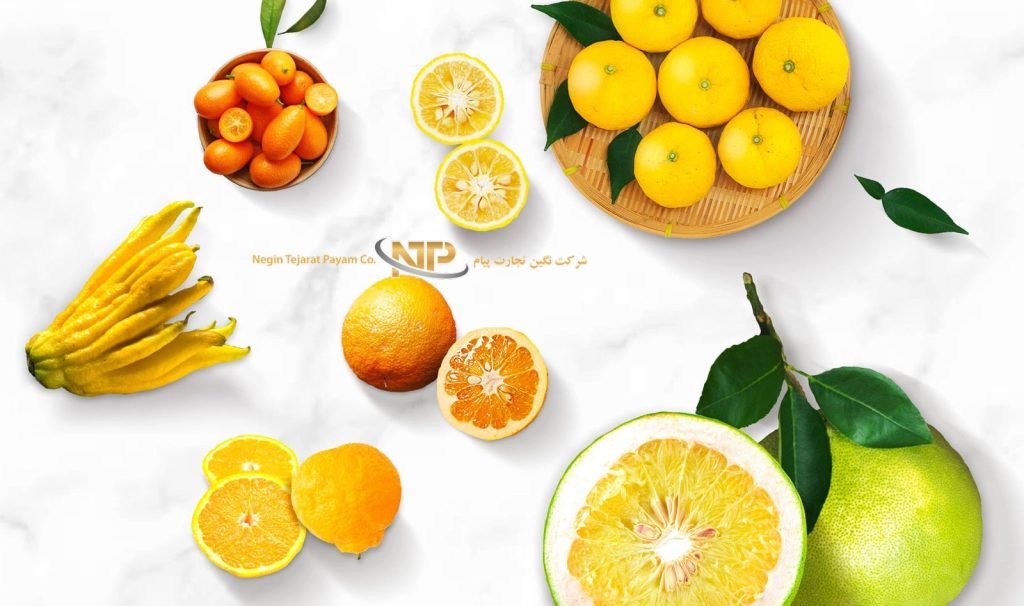 معرفی اسیدهای خوراکی